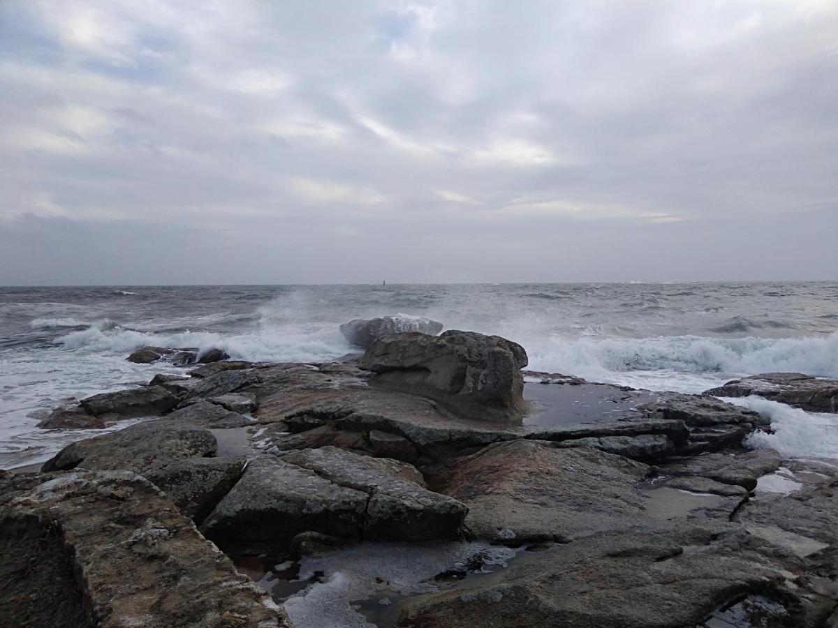 La Rose Des Mers Treffiagat Luaran gambar