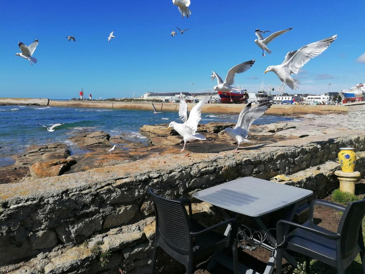 La Rose Des Mers Treffiagat Luaran gambar